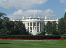 The White House